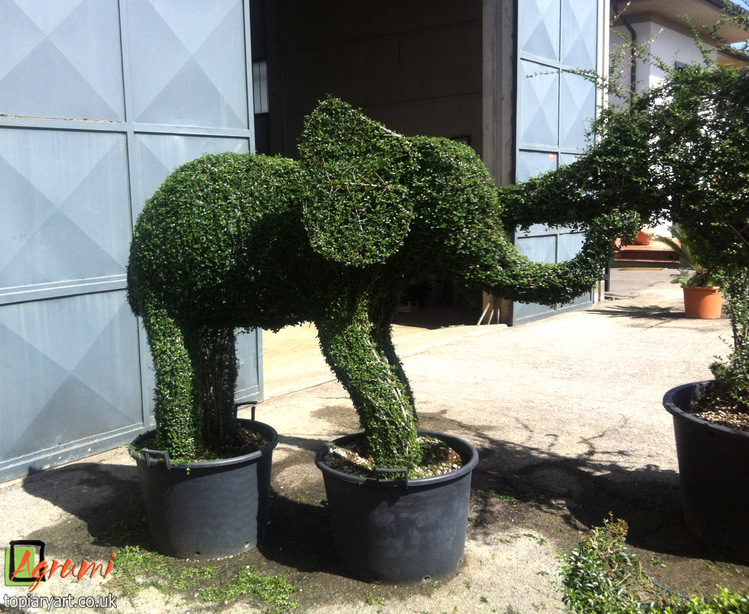 Topiary animals Bespoke topiary plant sculptures