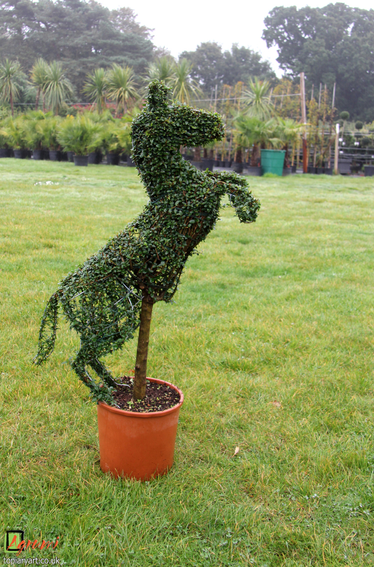 Topiary animals Bespoke topiary plant sculptures