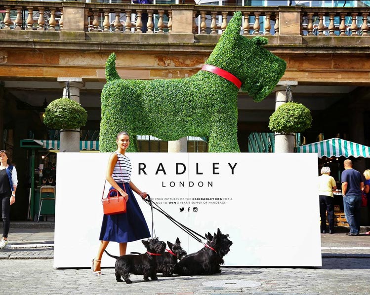 The Radley Dog made from artificial topiary by Agrumi
