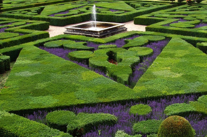 Topiary knot garden