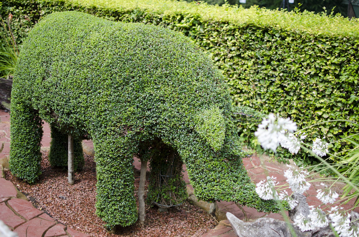 Topiary animals Bespoke topiary plant sculptures