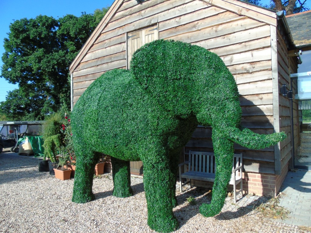 Giant topiary elephant Bespoke topiary plant sculptures