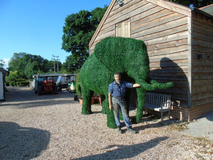 Artificial Boxwood Elephant with Luigi